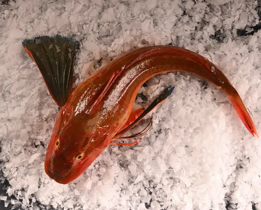 🐟 Kırlangıç Balığı | 1–3 KG Arası – Sofraların Şef Tavsiyesi! 🐟