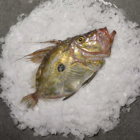 🎣 Dülger Balığı – Lezzetin Asil Hali! | Taptaze & Özel Üretim 🎣