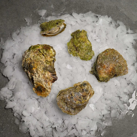 🦪 İstiridye – Denizden Gelen Sofistike Lezzet! | 4–6 Adet / 1 KG 🦪