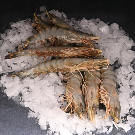 🦐 Taptaze 20/25 Jumbo Karides – Lezzetin Dev Hali! 🦐