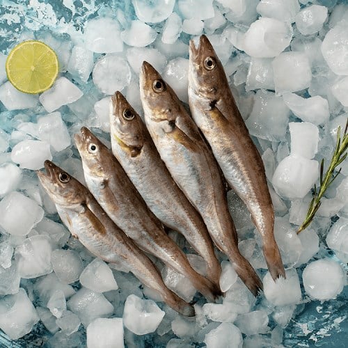 🐟 Karadeniz Mezgit – Hafif, Lezzetli ve Çok Yönlü! 🐟