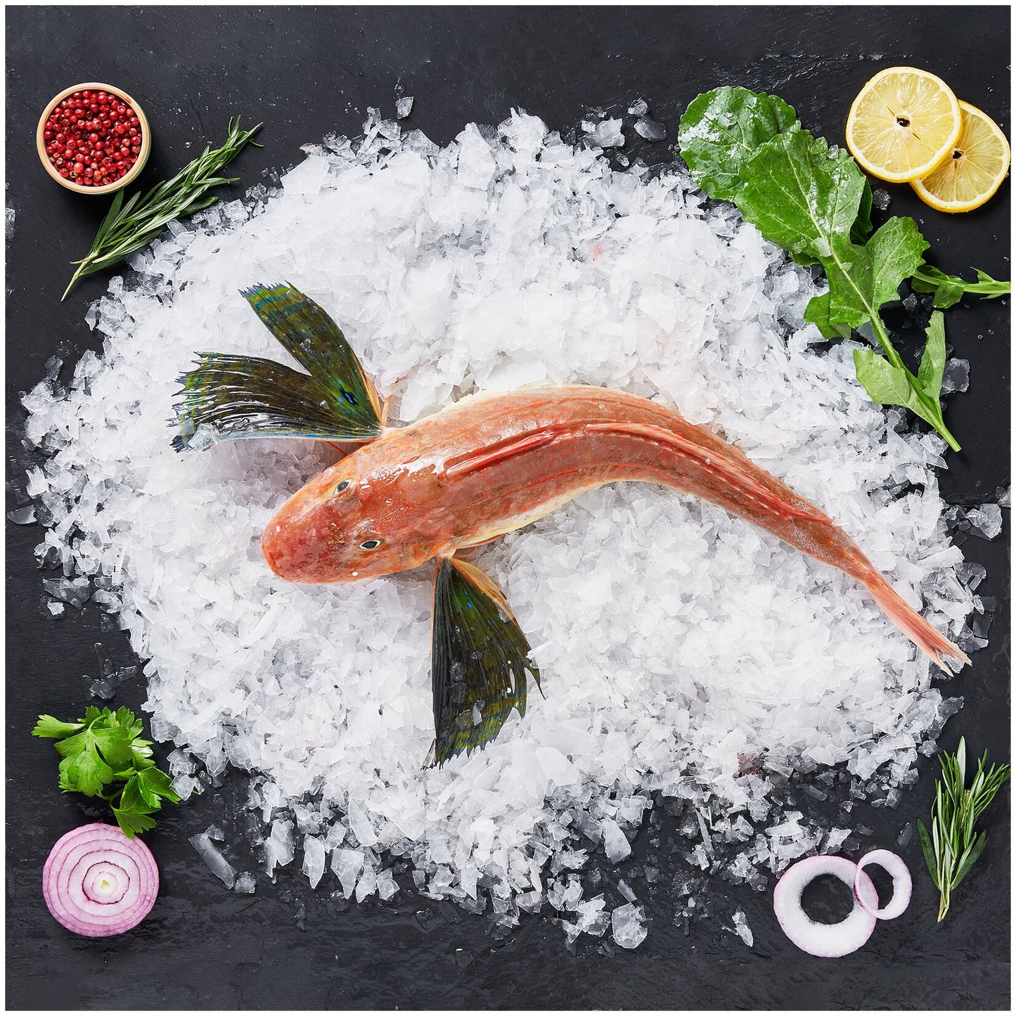 🐟 Kırlangıç Balığı | 1–3 KG Arası – Sofraların Şef Tavsiyesi! 🐟