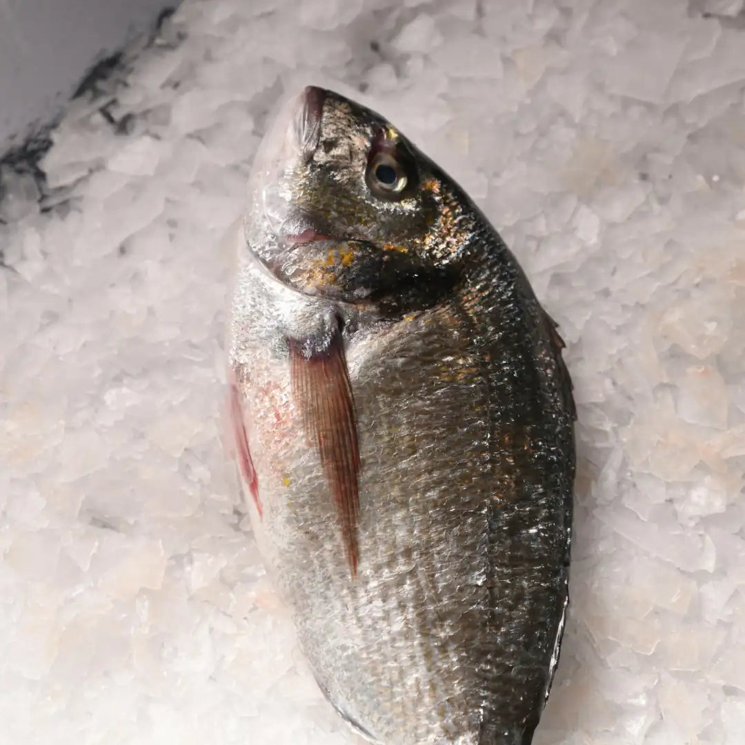 🐟 Çupra – 400/600 gr | 5 KG Kasada – Etli, Doyurucu ve Taptaze! 🐟