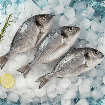 🐟 Çupra – 300/400 gr | 5 KG Kasada – Taze, Porsiyonluk, Lezzetli! 🐟