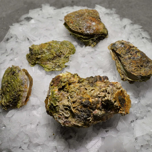 🦪 İstiridye – Denizden Gelen Sofistike Lezzet! | 4–6 Adet / 1 KG 🦪