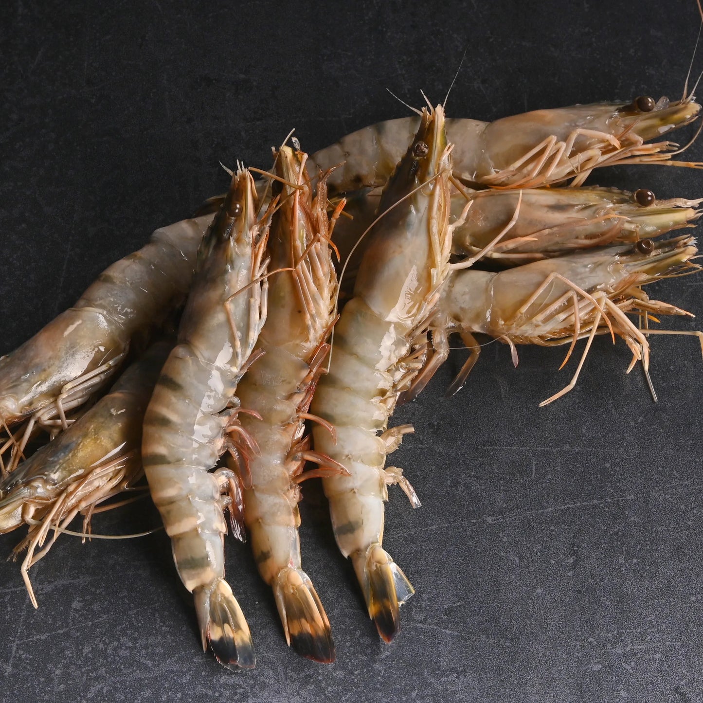 🦐 Taptaze 20/25 Jumbo Karides – Lezzetin Dev Hali! 🦐