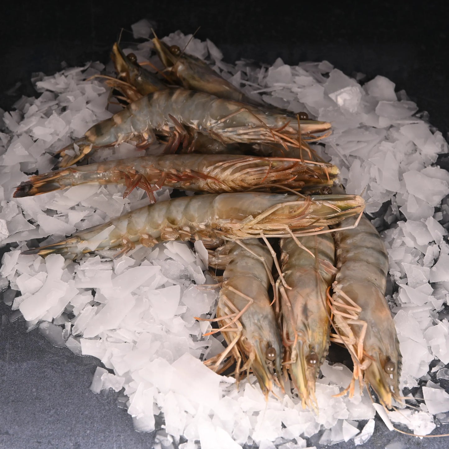 🦐 Taptaze 20/25 Jumbo Karides – Lezzetin Dev Hali! 🦐