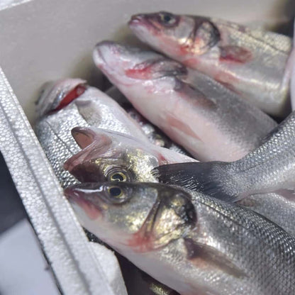 🐟 Levrek – 400/600 gr | 5 KG Kasada – Kalın Etli, Porsiyonluk Lezzet! 🐟