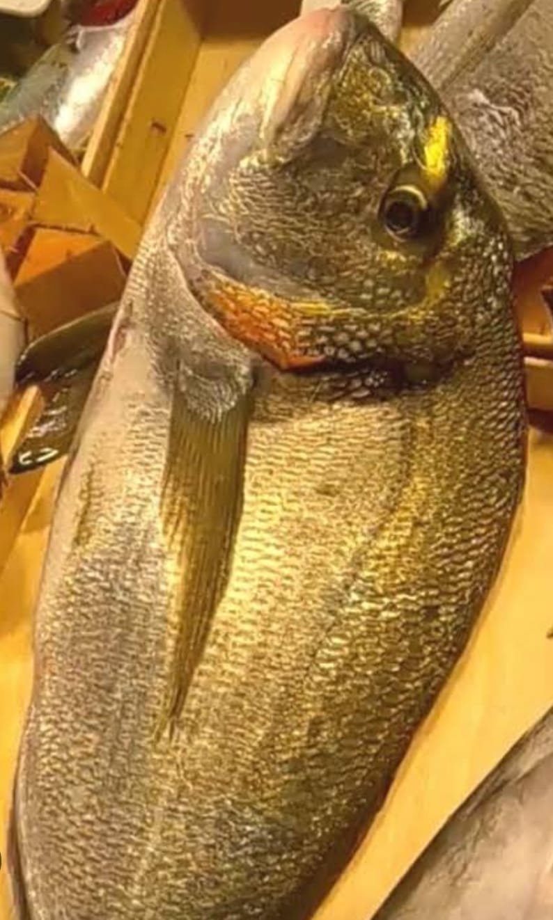Orijinal Deniz Çuprası (1 – 2 kg) – Çiftlik Değil, Gerçek Deniz Tadında!