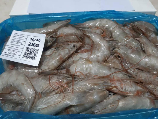 Taptaze Dondurulmuş Jumbo Karides – Sofranıza Denizden Gelen Ziyafet!