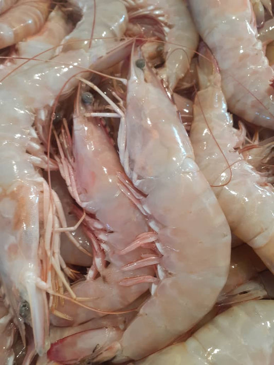 %100 Yerli Taptaze Jumbo Karides – Lezzetin En Doğal Hali!