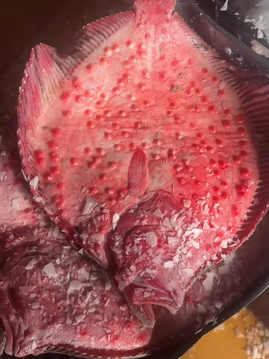 Yerli Kalkan Balığı – Sofraların Asil Lezzeti!